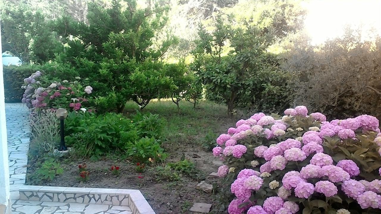 Apartment Rab Town Dış mekan fotoğraf